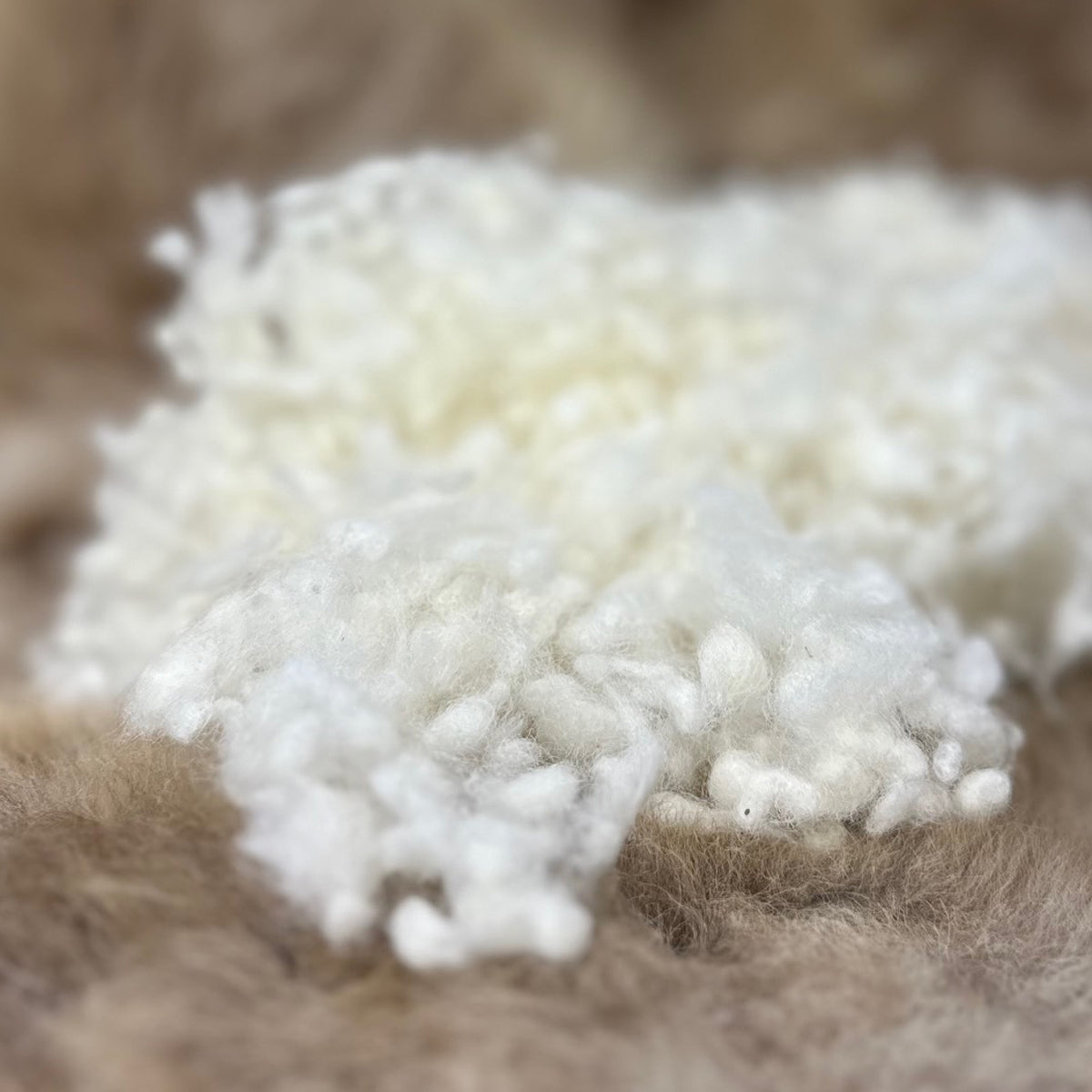 Texelana | wolbolletjes voor navulling